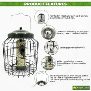 Heavy Duty Squirrel Proof Bird Feeder – Weather Resistant, Large Capacity