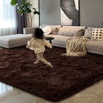 HOMORE Brown Area Rug 8x10 Feet, Fluffy Shag Rugs for Living Room, Chocolate Rugs for Bedroom, Large Coffee Living Room Rug Super Soft Carpet for Kids Playroom Classroom Dorm Home Decor