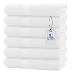 Dan River Luxury Hand Towels Set Pack of 6 (16x28) 100% Ring Spun Cotton, Ultra Soft, Lightweight, and Highly Absorbent, Perfect for Salon, Spa, Gym, Shower, Hotel, and Bathroom, 500 GSM – White