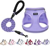 PUKAKO Puppy Harness and Leash Set,