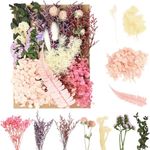 Sularpek Dried Flowers, Dried Flowers for Crafts, Pressed Flowers, Dry Flowers, Dry Flowers for Decoration, Natural Dried Flowers, for DIY Arts Jewelry Making Floral Decorations