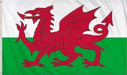 SHATCHI Large 5ft x 3ft Wales Welsh Dragon National Flags Events Pub BBQ Decorations Banner Support Table Cover Football Rugby Sports, Polyester