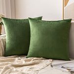 MIULEE Pack of 2 Velvet Soft Solid Decorative Square Throw Pillow Covers Set Cushion Case for Sofa Bedroom Couch18 x 18 Inch Olive Green