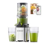 AMZCHEF Cold Press Juicer, 4.6" Wide Feed Chute Juicer Machine Fit Whole Vegetables & Fruits, 2-in-1 Strainer (Juice & Nut Milk Maker), Space-saving, Easy to Clean, Stainless Steel