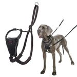 Halti No Pull Harness - Stop Your Dog Pulling on the Lead. Adjustable, Lightweight and Easy to Use. Reflective Dog Training Harness for Large Dogs (Size L, Black)