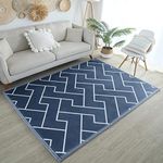 Loartee Thick Toddler Nursery Rug - 1" Memory Foam Area Rug Geometric Modern Coral Velvet Baby Carpet, 4'3"×6'3", Dark Gray