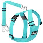 Pawaboo Dog Safety Vest Harness, Pet Car Harness Vehicle Seat Belt with Adjustable Strap and Buckle Clip, Easy Control for Driving Traveling Safety for Small Medium Dogs Cats, Large, Blue