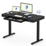 FLEXISPOT Comhar EW8B Electric Standing Desk Home Office Electric Height Adjustable Standing Desk Sit Stand Desk with 120 * 60cm Black Wood Top (Black Frame+Black Wood Top)