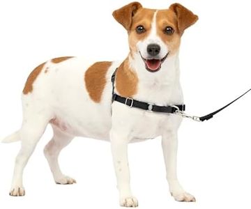 PetSafe Harnais Easy Walk avec boucle Anti-Traction et laisse de 1,8 m, promenade confortable pour vous et lui - 4 points de Réglage – Résistant, facile à mettre et enlever – Noir, taille S