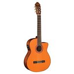 Washburn Electric Acoustic Guitar