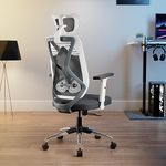 Pro Office Chair