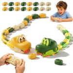 Remote Control Snake Toy for Kids, Magnetic Snake Game with Music, 2P