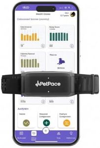 Smart Collar 2.0 by PetPace | AI-Powered Dog Health Monitor & GPS Tracker | Tracks Heart Rate, Pain, Anxiety & Stress, Vet-Backed with Real-Time Alerts & Monitoring - Subscription Required (Small)