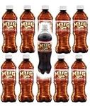 Mug Root Beer 20oz Soda Bottles (Pa