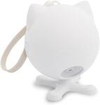 PetSafe Dancing Dot Laser Cat Toy -