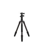 Benro Tripster Travel Tripod/Monopod - 2 Series Black CF (FTR28CB1GBLK)