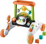 Fisher-Price 2-Sided Steady Speed P