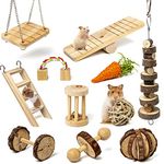 Labeol Hamster Chew Toys Small Animal Boredom Breakers Cage Accessories Pet 11 Pcs Natural Wooden Toys Hamster Ball Swing for Rat Guinea Pig Chinchilla Gerbils Rabbit Parrot Syrian