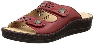 Scholl Women's HARLEEN MULE Slippers (6765909_MAROON_4 UK)