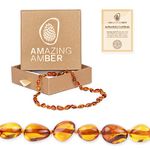 Amazing Amber Necklace - 100% Authentic Amber (Rich Honey, 13.5 inches), Certified Amber Necklace with Safety Clasp and Knotted Beads. Real Amber Necklace