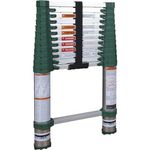 Xtend & Climb Pro Series 780P+ Telescoping Ladder, Green