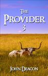 The Provider 3 (The Provider Saga)