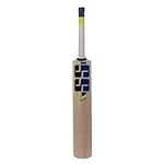 SS Kashmir Willow Cricket Bat Short