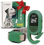 Dogtra CUE Green – E-Collar for Dog