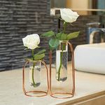 PuTwo Vases Set of 2 Metal Flower Vase Glass Vase Planter Terrariums Gold Vases Rose Gold Vase Plant Vase Glass Vases Cylinder Vase Vases for Decor Clear Vase Decorations for Living Room - Rose Gold