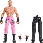 WWE Elite Action Figure SummerSlam