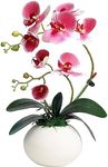 Forlaoers Modern 17" Pink Artificia