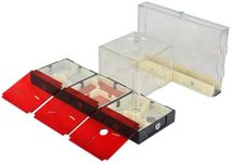 PAEOUT Ant Farm Nest Kit for Kids a