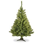 National Tree 4 Foot Kincaid Spruce Tree (KCDR-40)