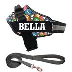 KIKA Pets Personalized Dog Harness with Leash Padded | Dog Harness with Name | Customized Dog Vest Harness, Small Size (for 5-12 kg Dogs) Groovy Emoji