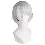 MapofBeauty Men's Short Straight Wig Cosplay Costume Wig (Silver Grey)