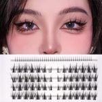 LANKIZ Manga Lashes D Curl Lash Clusters, Anime Lashes Natural Look False Eyelashes Individual Lashes Extensions Korean Makeup Asian Fake Eyelashes, Mink Wispy Fluffy Cluster Lashes (Manga 01 Style-D)