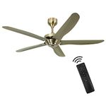 Flybull Ceiling Fan without Light for Patio Porch Outdoor - 56'' Modern Gold with Remote Control, Noiseless DC Motor, Timing, 6 Speeds Indoor Living Room Bedroom Shop Garage