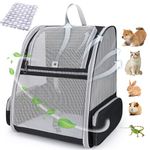 Lollimeow Pet Carrier Backpack for Dogs and Cats,Puppies,Fully Ventilated Mesh,Airline Approved,Designed for Travel, Hiking, Walking & Outdoor Use