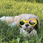 Emily Pets Dog Goggles Eye Wear Protection Waterproof Pet Sunglasses for Dogs (Yellow)