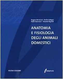 Anatomia e