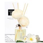 Aronica Premium Twin Sola Flower and Reed Diffuser | Midnight Jasmine | 5.4oz/160 ml| Home Decor & Room Fragrance | Essential Oils and Gifts