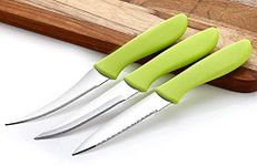 Ebbstone 3 PCS Stainless Steel Kitchen Knife Set for Vegetable & Meat Cutting Knife Kitchen Knife Vegetable Knives Stainless Steel Kitchen Knives Set, 3-Pieces, Multicolor