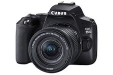 Canon EOS 250D + Canon EF-s 18-55mm f/4-5.6 IS STM Lens - Black