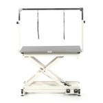 Pedigroom Large Professional Mobile Electric Dog Grooming Table Height 26-100cm