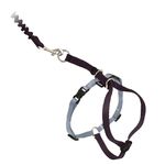 PetSafe Come With Me Kitty Harness and Bungee Leash, Harness for Cats, Large, Black/Silver