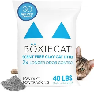Boxiecat P