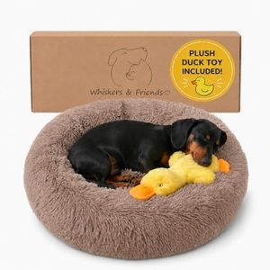 Whiskers & Friends Small Dog Bed Washable, Fluffy Orthopedic Dog Bed Small, Puppy Calming Beds, Large Cat Beds for Indoor Cats - Perfect for Pets Under 25 Pounds - Camel