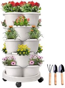 SpringUp 5