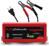 Schumacher Electric 2A Car Battery 