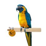 Sage Square Giant Natural Cage Mountable Wood Perch for Birds, Cage Accessory Toy (18 Inches)